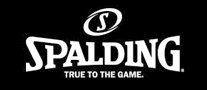 Spalding斯伯丁logo