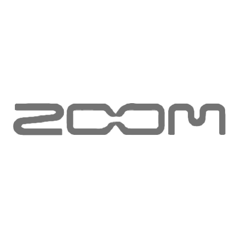 Zoom logo