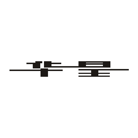 华星 logo