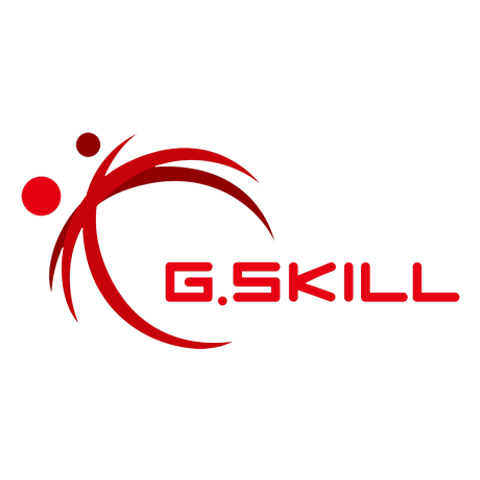 G.SKILL 芝奇