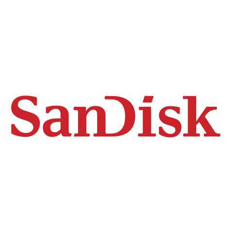 SanDisk 闪迪 logo
