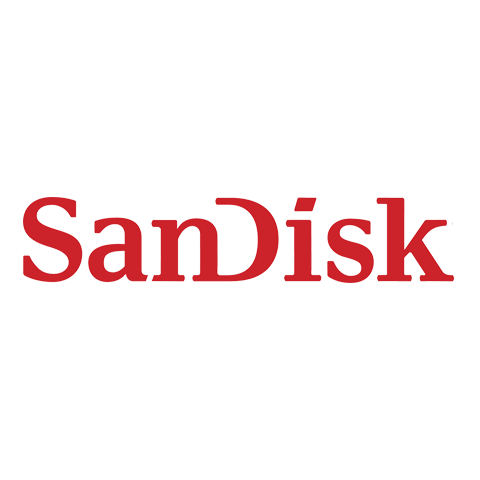 SanDisk 闪迪