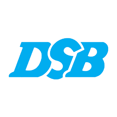 DSB 迪士比 logo
