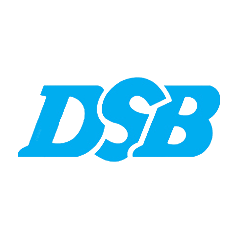 DSB 迪士比