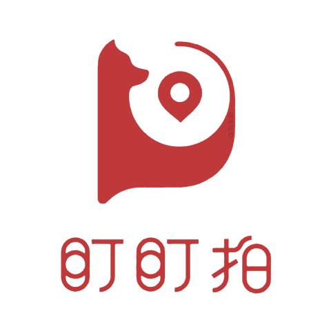 ddpai 盯盯拍 logo