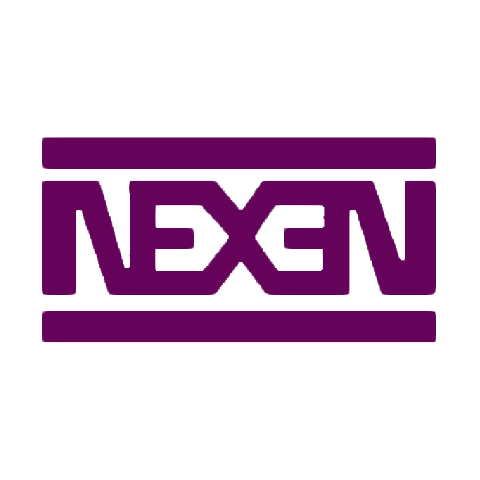 NEXEN 耐克森 logo