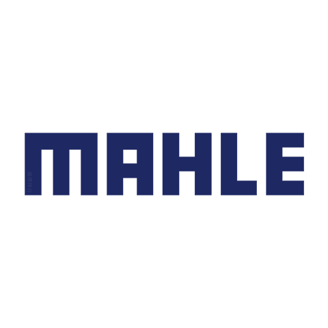 MAHLE 马勒