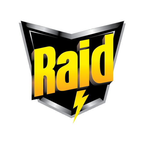 Raid 雷达 logo