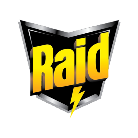 Raid 雷达