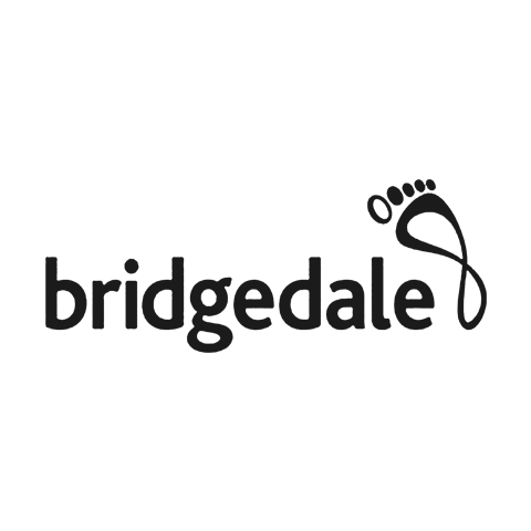 Bridgedale 戴桥