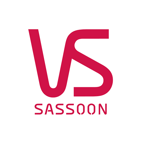 VS Sassoon 沙宣 logo