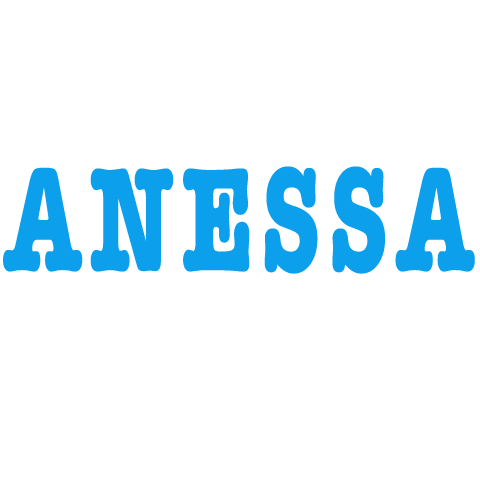 ANESSA 安热沙 logo
