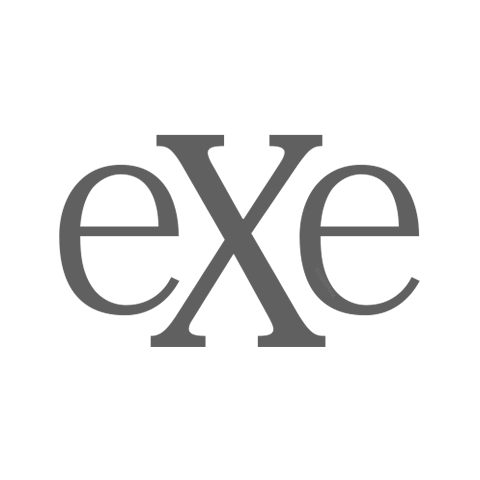 EXE logo