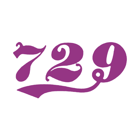 729 logo