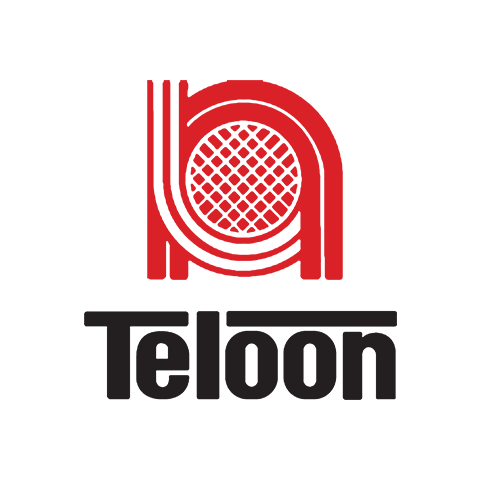 Teloon 天龙 logo