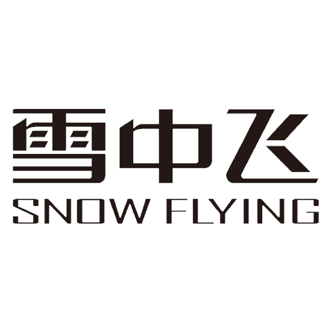 Snow Flying 雪中飞