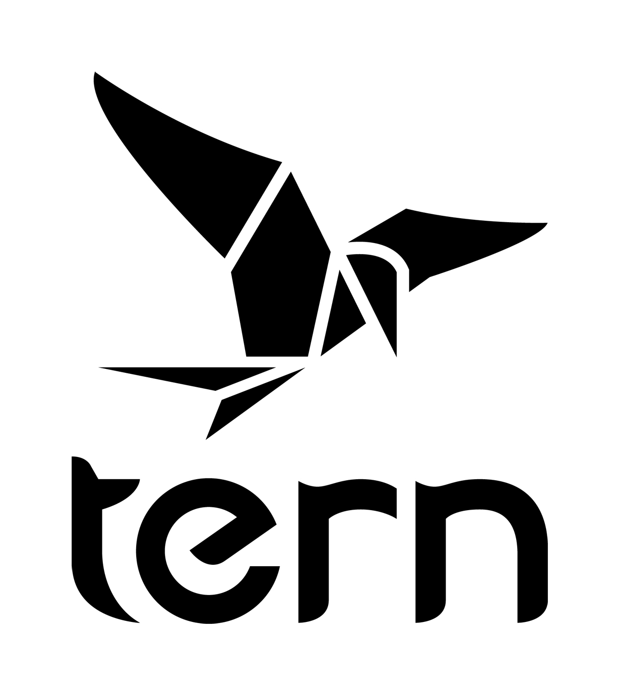 Tern 燕鸥