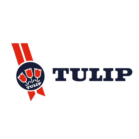 Tulip 三花/郁金香