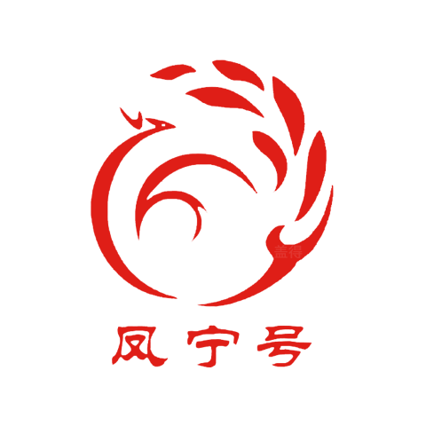 凤宁号 logo