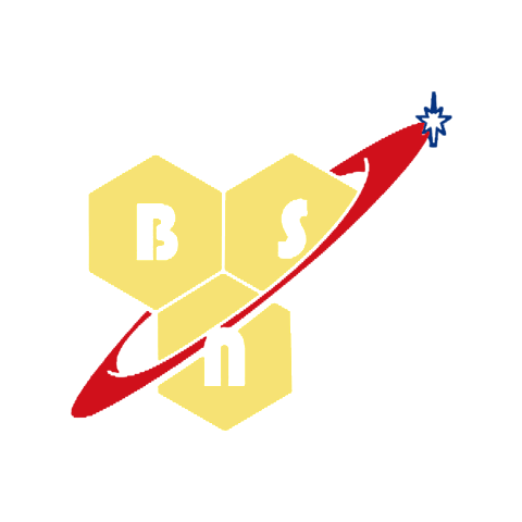 BSN 百思恩 logo