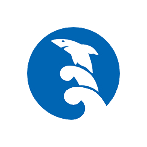 星鲨 logo