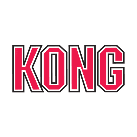 KONG logo