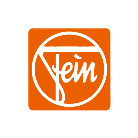 FEIN 泛音 logo