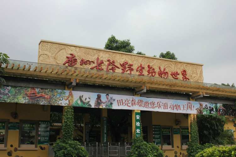 长隆野生动物园丨长隆飞鸟乐园