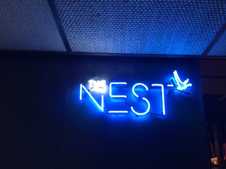 THE NEST