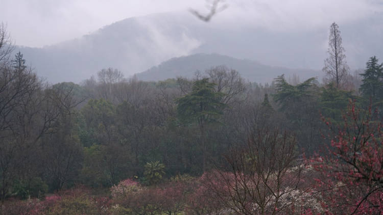 钟山风景区