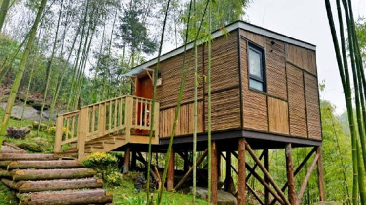 安缇缦·竹林树屋