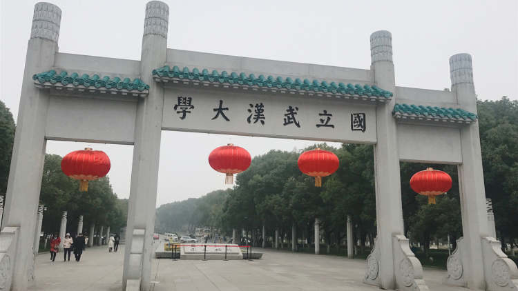 武汉大学