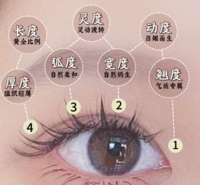 双眼皮