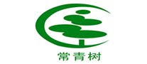 常青树logo