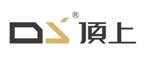 顶上DSlogo标志