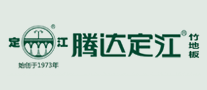 腾达定江logo