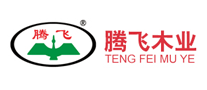 腾飞logo