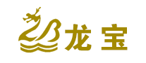 龙宝logo