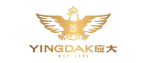 应大YINGDAKlogo