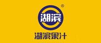 湖滨果汁logo标志