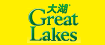 大湖logo
