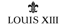 LOUISXIII路易十三logo