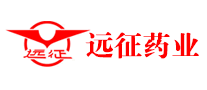 远征logo