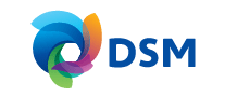 DSM帝斯曼logo