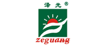 泽光logo标志