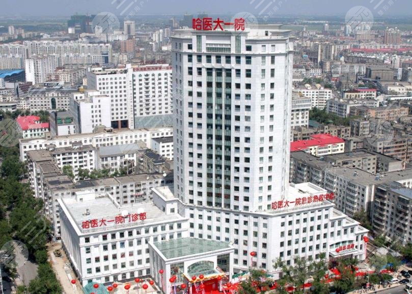 哈医大一院环境图