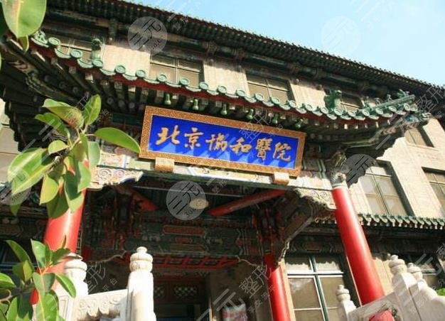 北京协和医院环境图