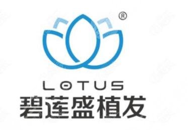 雍禾和碧莲盛哪个好