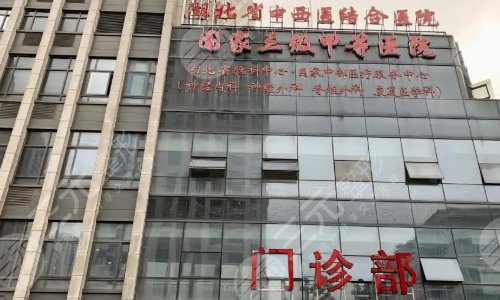 武汉市中西医结合医院