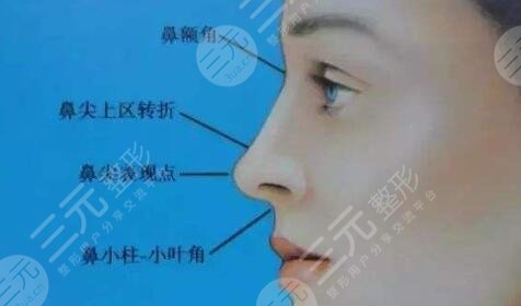 自体脂肪隆鼻